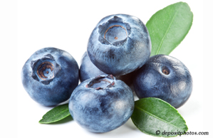 Augusta chiropractic and nutritious blueberries